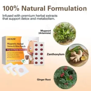 AEXZR® Magnetic Herbal Detox & Slim Patch