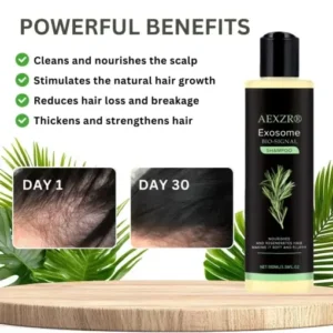 AEXZR® Clinical Exosome Therapy Shampoo Bio-Signal Hair Regrowth System