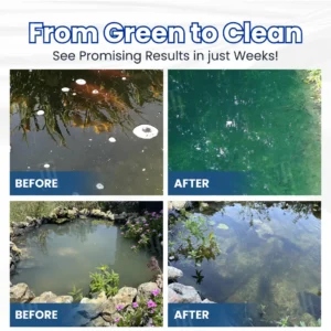 ✨ From Green to Clean Overnight! |⏱️ Crystal Clear in 24 Hours! | AEXZR® Aqua-Guardian Pro Formula