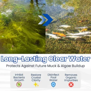 ✨ From Green to Clean Overnight! |⏱️ Crystal Clear in 24 Hours! | AEXZR® Aqua-Guardian Pro Formula